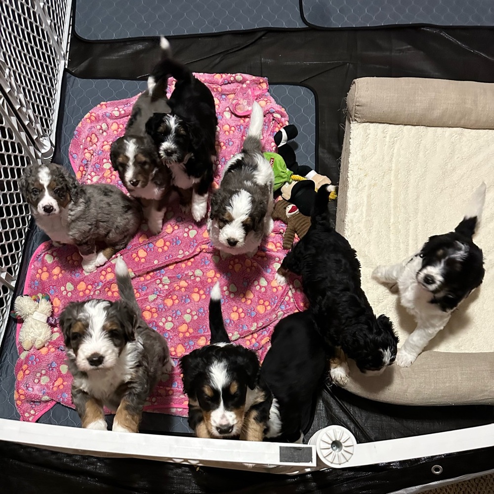 Meet your Posher, Brittany